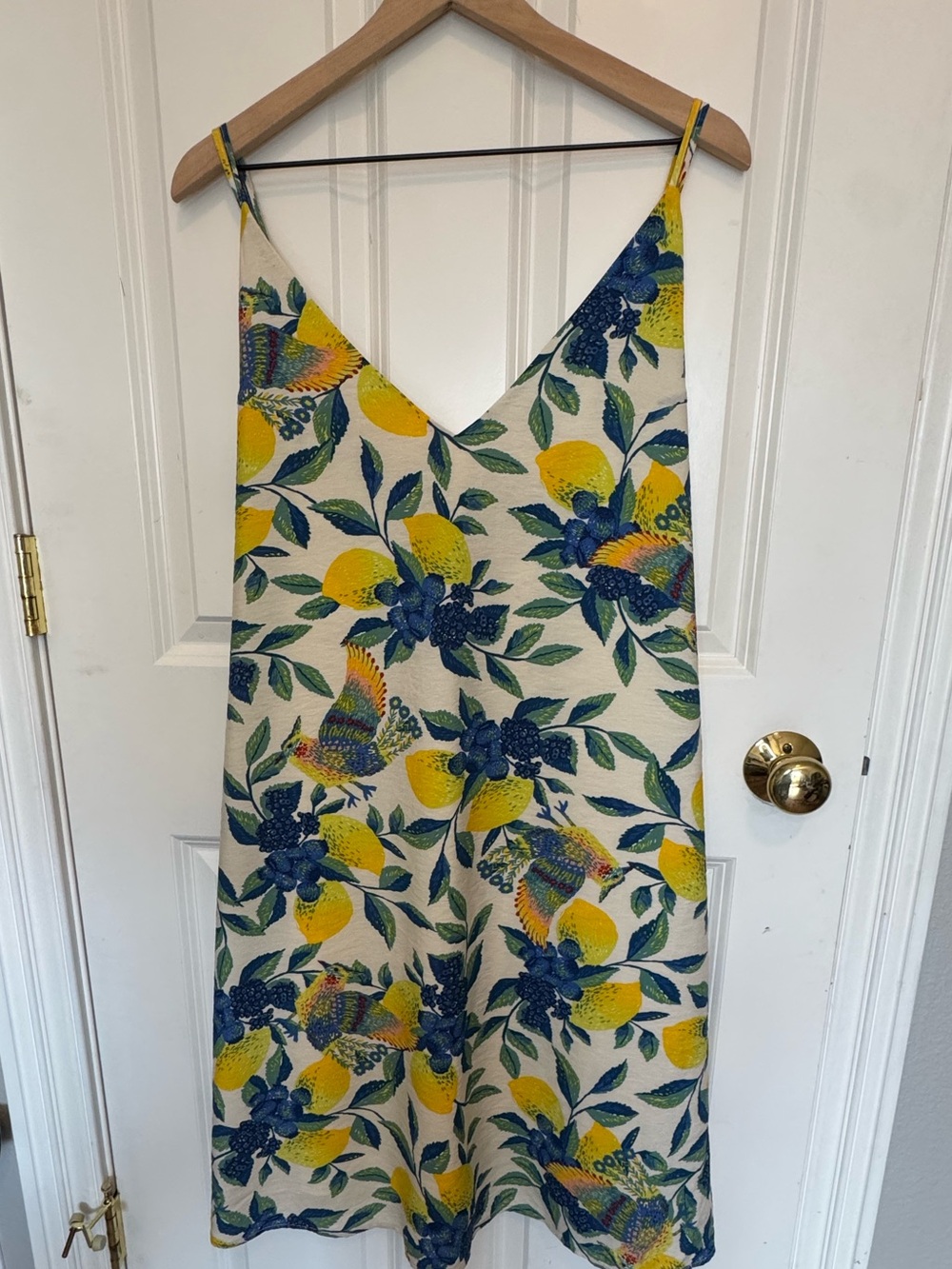 DAVI & DANI Lemon and Blue Floral Slip Dress 2x Plus size Garden Party Dress